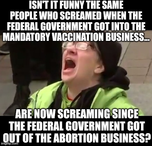 The 10th Amendment.......scary reading. |  ISN'T IT FUNNY THE SAME PEOPLE WHO SCREAMED WHEN THE FEDERAL GOVERNMENT GOT INTO THE MANDATORY VACCINATION BUSINESS... ARE NOW SCREAMING SINCE THE FEDERAL GOVERNMENT GOT OUT OF THE ABORTION BUSINESS? | image tagged in screaming liberal,liberal hypocrisy,pick a side,crying liberals,abortion,vaccines | made w/ Imgflip meme maker
