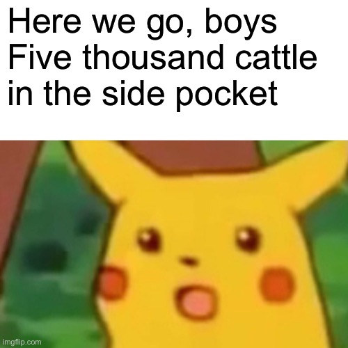 _ | Here we go, boys
Five thousand cattle in the side pocket | image tagged in memes,surprised pikachu | made w/ Imgflip meme maker