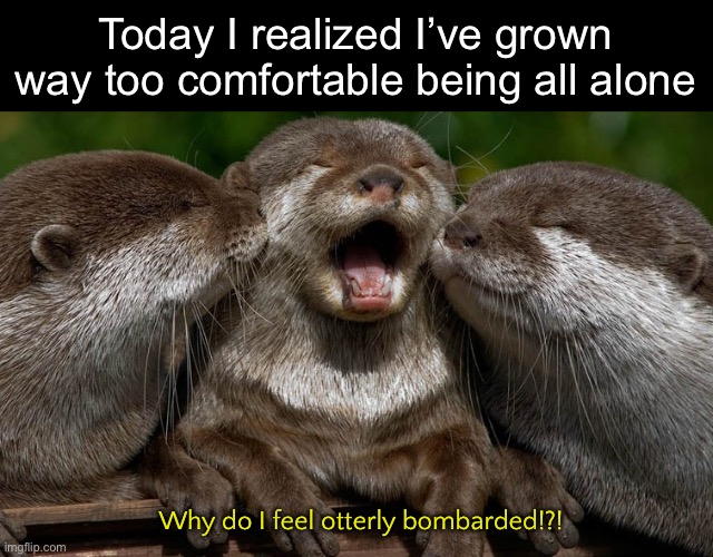 When Being Alone Seems Easier Than Dealing With People | Today I realized I’ve grown way too comfortable being all alone; Why do I feel otterly bombarded!?! | image tagged in funny memes,relationships | made w/ Imgflip meme maker