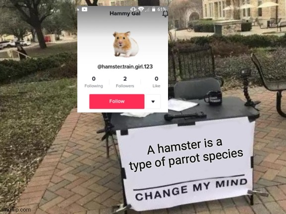 Change My Mind Meme | A hamster is a type of parrot species | image tagged in memes,change my mind | made w/ Imgflip meme maker