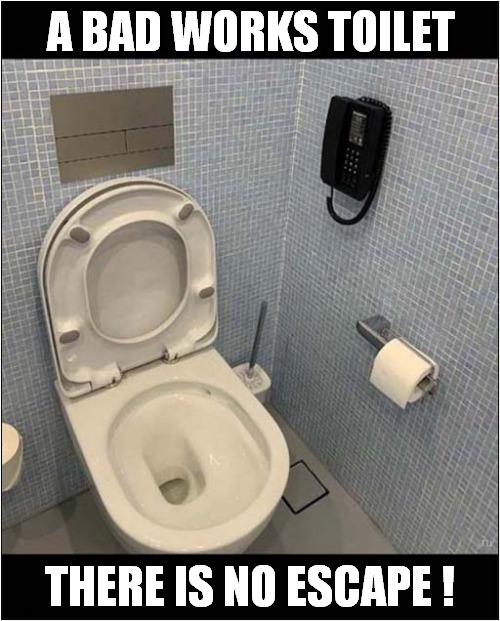 No Hiding Place ! | A BAD WORKS TOILET; THERE IS NO ESCAPE ! | image tagged in office,toilet,telephone,no escape | made w/ Imgflip meme maker