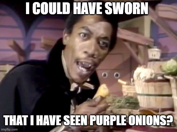 I COULD HAVE SWORN THAT I HAVE SEEN PURPLE ONIONS? | made w/ Imgflip meme maker