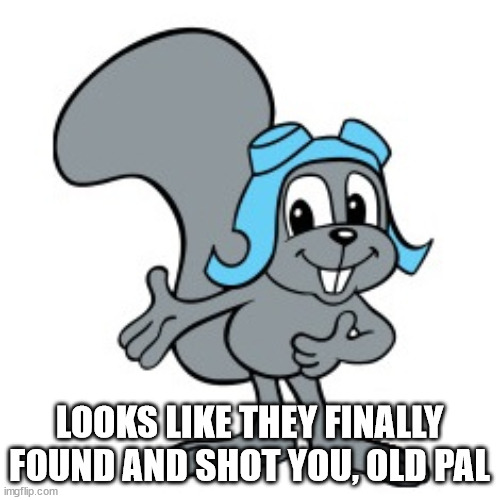 Rocky Squirrel | LOOKS LIKE THEY FINALLY FOUND AND SHOT YOU, OLD PAL | image tagged in rocky squirrel | made w/ Imgflip meme maker