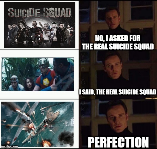 Kamikaze!!! | NO, I ASKED FOR THE REAL SUICIDE SQUAD; I SAID, THE REAL SUICIDE SQUAD; PERFECTION | image tagged in show me the real | made w/ Imgflip meme maker