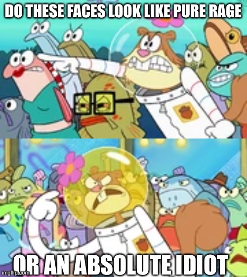 When ugliness and anger go together |  DO THESE FACES LOOK LIKE PURE RAGE; OR AN ABSOLUTE IDIOT | image tagged in ugly,angry,sandy cheeks,angry mob | made w/ Imgflip meme maker