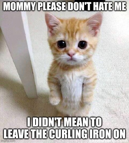 Cute Cat | MOMMY PLEASE DON'T HATE ME; I DIDN'T MEAN TO LEAVE THE CURLING IRON ON | image tagged in memes,cute cat | made w/ Imgflip meme maker