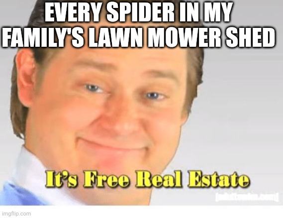 2000 views in a week | EVERY SPIDER IN MY FAMILY'S LAWN MOWER SHED | image tagged in it's free real estate | made w/ Imgflip meme maker