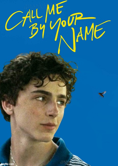 image tagged in movies,lgbtq,fly,pests,flies,call me by your name | made w/ Imgflip meme maker