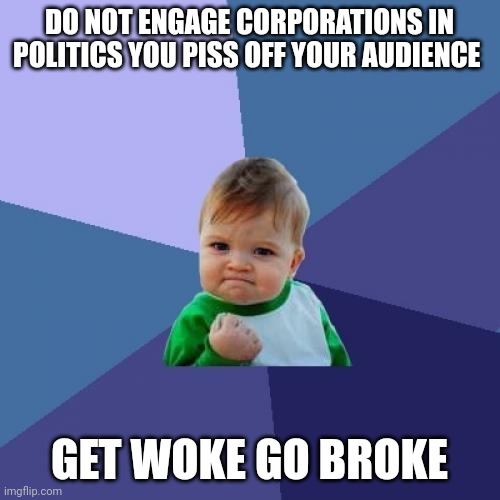 Disney just poisoned again will they never learned | DO NOT ENGAGE CORPORATIONS IN POLITICS YOU PISS OFF YOUR AUDIENCE; GET WOKE GO BROKE | image tagged in memes,success kid | made w/ Imgflip meme maker