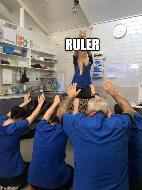 All Hail The Cat | RULER | image tagged in all hail the cat | made w/ Imgflip meme maker