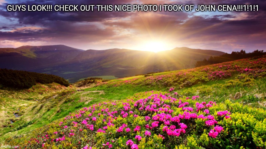 Get it? He's not there | GUYS LOOK!!! CHECK OUT THIS NICE PHOTO I TOOK OF JOHN CENA!!!1!1!1 | image tagged in field of flowers | made w/ Imgflip meme maker