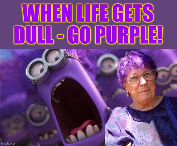 WHEN LIFE GETS DULL - GO PURPLE! | made w/ Imgflip meme maker