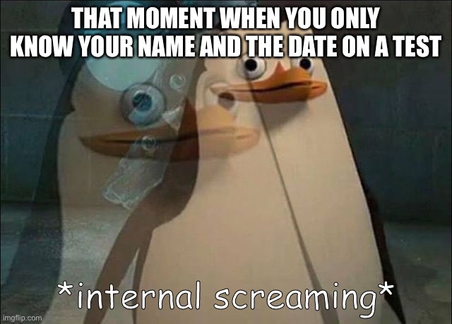 Yes | THAT MOMENT WHEN YOU ONLY KNOW YOUR NAME AND THE DATE ON A TEST | image tagged in private internal screaming | made w/ Imgflip meme maker