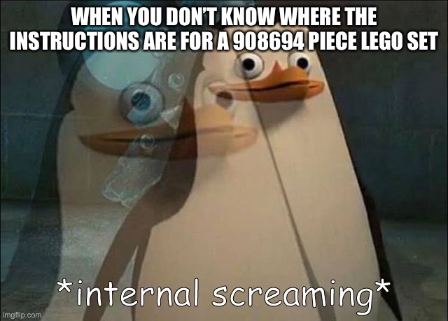 I can relate wbu? | WHEN YOU DON’T KNOW WHERE THE INSTRUCTIONS ARE FOR A 908694 PIECE LEGO SET | image tagged in private internal screaming | made w/ Imgflip meme maker