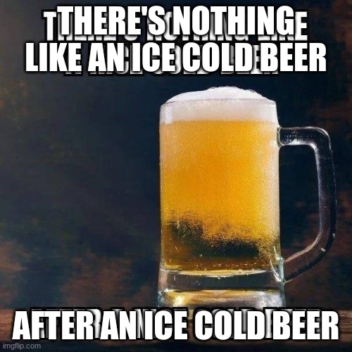 beer | THERE'S NOTHING LIKE AN ICE COLD BEER; AFTER AN ICE COLD BEER | image tagged in beer | made w/ Imgflip meme maker