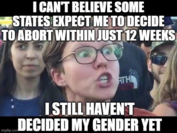 Angry sjw | I CAN'T BELIEVE SOME STATES EXPECT ME TO DECIDE TO ABORT WITHIN JUST 12 WEEKS I STILL HAVEN'T DECIDED MY GENDER YET | image tagged in angry sjw | made w/ Imgflip meme maker