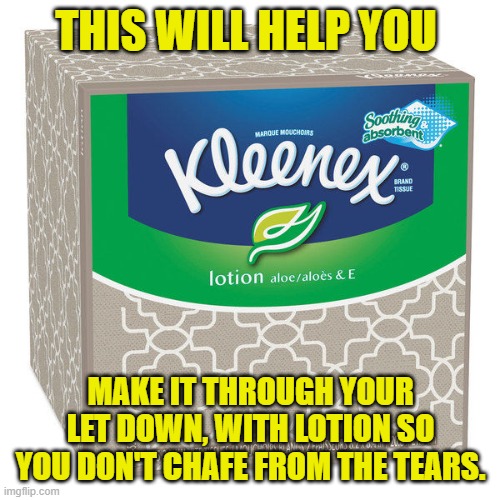 Kleenex | THIS WILL HELP YOU MAKE IT THROUGH YOUR LET DOWN, WITH LOTION SO YOU DON'T CHAFE FROM THE TEARS. | image tagged in kleenex | made w/ Imgflip meme maker