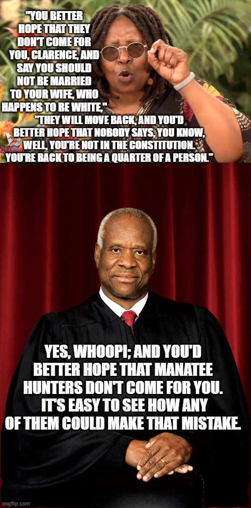 Whoopi gets crazier with each passing year . . . just like the political Left in general. | "YOU BETTER HOPE THAT THEY DON'T COME FOR YOU, CLARENCE, AND SAY YOU SHOULD NOT BE MARRIED TO YOUR WIFE, WHO HAPPENS TO BE WHITE,"; "THEY WILL MOVE BACK, AND YOU'D BETTER HOPE THAT NOBODY SAYS, YOU KNOW, WELL, YOU'RE NOT IN THE CONSTITUTION. YOU'RE BACK TO BEING A QUARTER OF A PERSON."; YES, WHOOPI; AND YOU'D BETTER HOPE THAT MANATEE HUNTERS DON'T COME FOR YOU.  IT'S EASY TO SEE HOW ANY OF THEM COULD MAKE THAT MISTAKE. | image tagged in whoopi | made w/ Imgflip meme maker