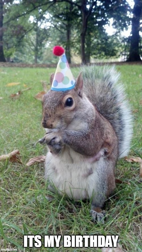 Am 116 now | ITS MY BIRTHDAY | image tagged in memes,super birthday squirrel | made w/ Imgflip meme maker