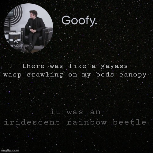 idfk | there was like a gayass wasp crawling on my beds canopy; it was an iridescent rainbow beetle | made w/ Imgflip meme maker