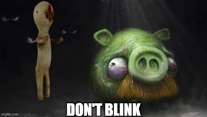 (SCP-173) Don't Blink | DON'T BLINK | image tagged in realistic pig in dark,scp,angry birds | made w/ Imgflip meme maker