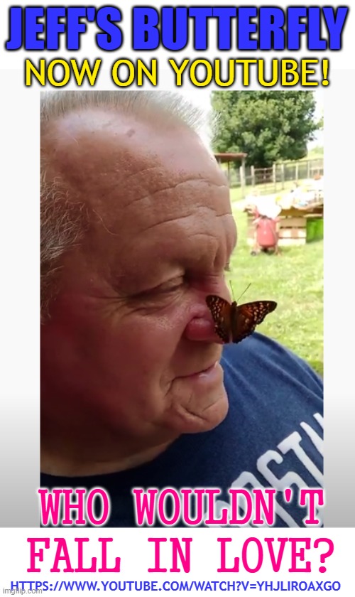 JEFF'S BUTTERFLY; NOW ON YOUTUBE! WHO WOULDN'T FALL IN LOVE? HTTPS://WWW.YOUTUBE.COM/WATCH?V=YHJLIROAXGO | made w/ Imgflip meme maker