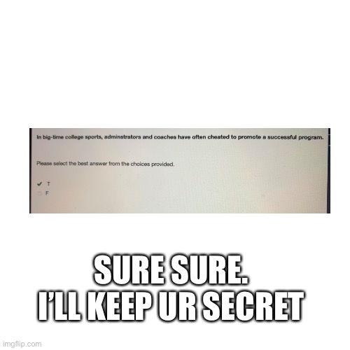 Blank Transparent Square | SURE SURE. I’LL KEEP UR SECRET | image tagged in memes,blank transparent square | made w/ Imgflip meme maker