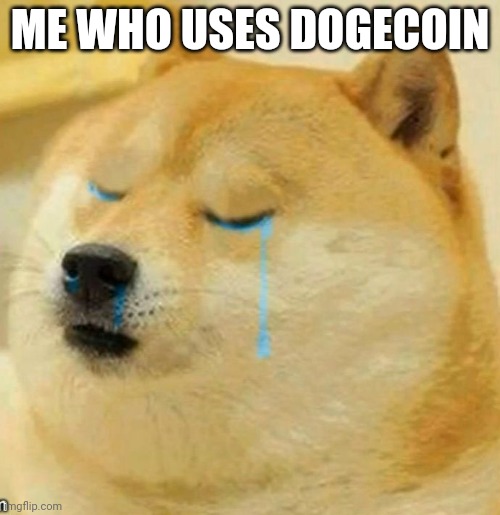 sad doge | ME WHO USES DOGECOIN | image tagged in sad doge | made w/ Imgflip meme maker