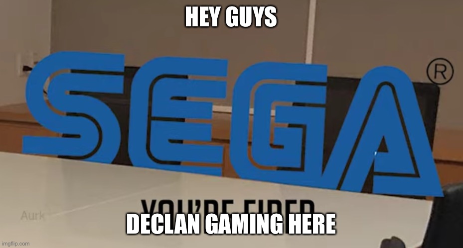 HEY GUYS; DECLAN GAMING HERE | image tagged in you re fired | made w/ Imgflip meme maker