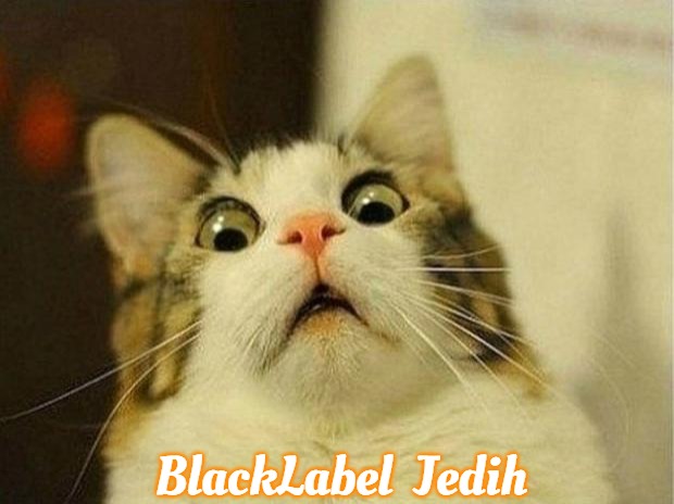Scared Cat | BlackLabel  Jedih | image tagged in memes,scared cat,slavic,blacklabel jedih,freddie fingaz,bars over bars | made w/ Imgflip meme maker