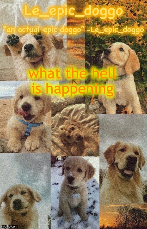 Doggo temp by doggo. Wait what that’s confusing | what the hell is happening | image tagged in doggo temp by doggo wait what that s confusing | made w/ Imgflip meme maker