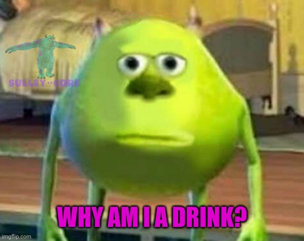 Monsters Inc | WHY AM I A DRINK? | image tagged in monsters inc | made w/ Imgflip meme maker