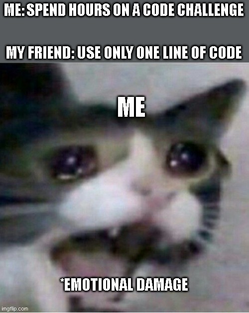 new to programming? |  ME: SPEND HOURS ON A CODE CHALLENGE; MY FRIEND: USE ONLY ONE LINE OF CODE; ME; *EMOTIONAL DAMAGE | image tagged in crying cat,coding,emotional damage | made w/ Imgflip meme maker