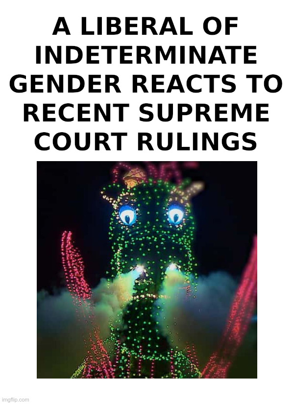 A Liberal of Indeterminate Gender Reacts | image tagged in liberal,gender confusion,supreme court,roe v wade,gun rights | made w/ Imgflip meme maker
