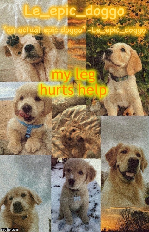 Doggo temp by doggo. Wait what that’s confusing | my leg hurts help | image tagged in doggo temp by doggo wait what that s confusing | made w/ Imgflip meme maker