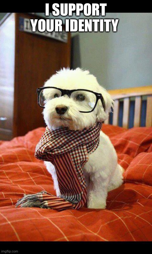 Intelligent Dog Meme | I SUPPORT YOUR IDENTITY | image tagged in memes,intelligent dog | made w/ Imgflip meme maker