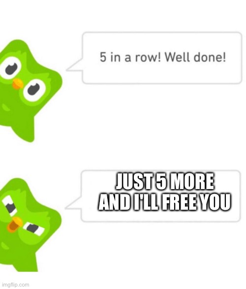 Duolingo 5 in a row | JUST 5 MORE AND I'LL FREE YOU | image tagged in duolingo 5 in a row | made w/ Imgflip meme maker