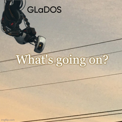 What's going on? | image tagged in template | made w/ Imgflip meme maker