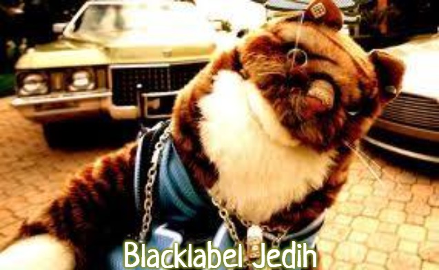 Rap Cat | Blacklabel Jedih | image tagged in rap cat,slavic,blacklabel jedih,freddie fingaz,bars over bars | made w/ Imgflip meme maker