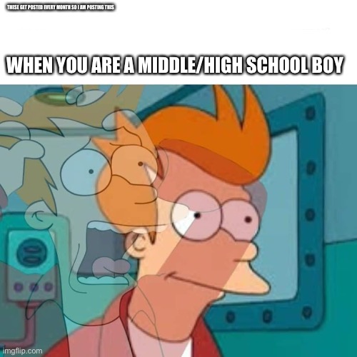 fry | THESE GET POSTED EVERY MONTH SO I AM POSTING THIS; WHEN YOU ARE A MIDDLE/HIGH SCHOOL BOY | image tagged in fry | made w/ Imgflip meme maker