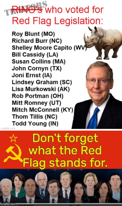 Red Flag Gun Laws and Rinos | image tagged in mitch mcconnell | made w/ Imgflip meme maker