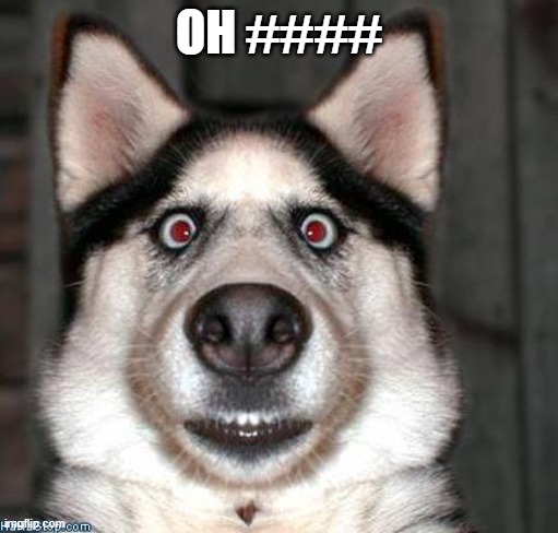 Scared Dog | OH #### | image tagged in scared dog | made w/ Imgflip meme maker