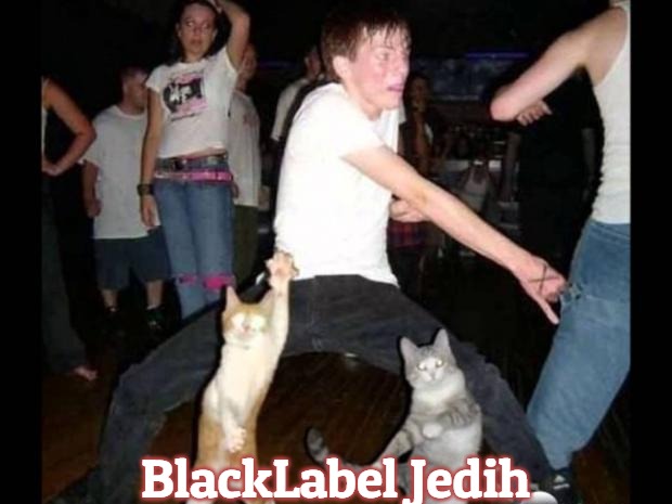 Party hard cat | BlackLabel Jedih | image tagged in party hard cat,slavic,blacklabel jedih,freddie fingaz,bars over bars | made w/ Imgflip meme maker