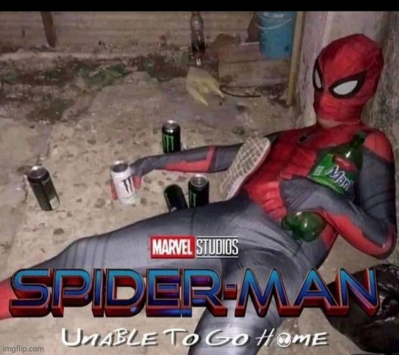 Wasted | image tagged in spiderman,memes,no way home | made w/ Imgflip meme maker