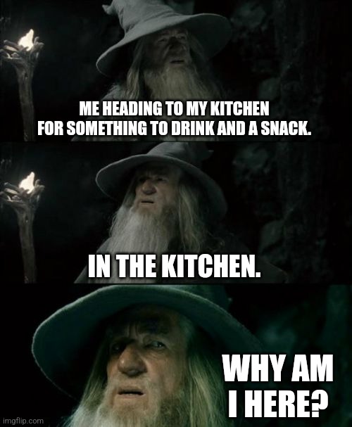 It's a struggle. "I have no memory of this place." | ME HEADING TO MY KITCHEN FOR SOMETHING TO DRINK AND A SNACK. IN THE KITCHEN. WHY AM I HERE? | image tagged in memes,confused gandalf | made w/ Imgflip meme maker