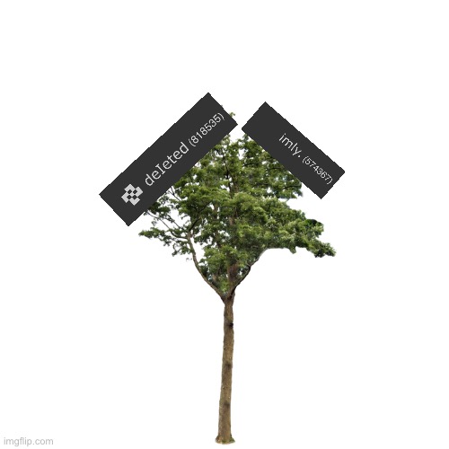 Blank Transparent Square | image tagged in memes,blank transparent square | made w/ Imgflip meme maker