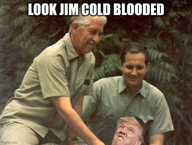 cold as ice | LOOK JIM COLD BLOODED | image tagged in wild kingdom | made w/ Imgflip meme maker