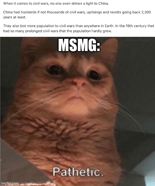 MSMG: | image tagged in pathetic cat | made w/ Imgflip meme maker