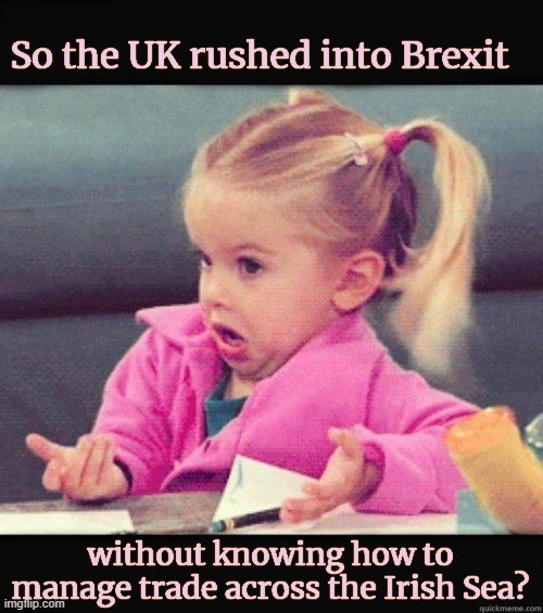 Scarcely credible agreement | So the UK rushed into Brexit; without knowing how to manage trade across the Irish Sea? | image tagged in brexit,economy,trade,welfare,ireland,united kingdom | made w/ Imgflip meme maker