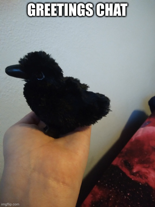 father finally gave me my browsers back | GREETINGS CHAT | image tagged in moolu's raven plushie | made w/ Imgflip meme maker